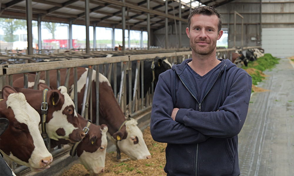 Ron van Puijenbroek: “SenseHub haalt de ruis weg. We zitten op 95% tochtherkenning. Ook onze inseminatiegraad is met 20% verhoogd.”