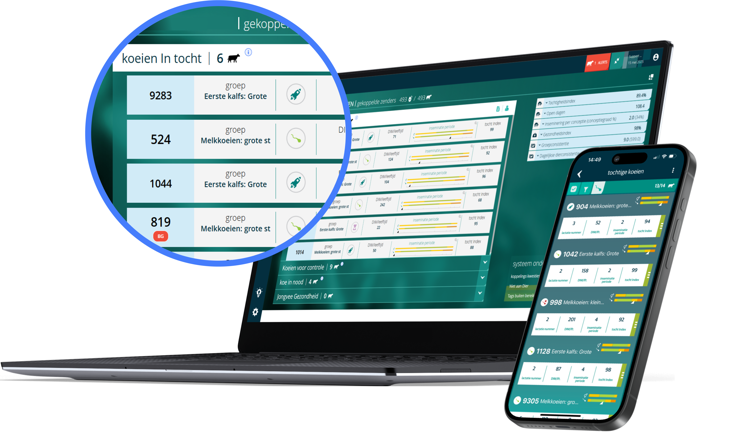 Laptop and phone showing data