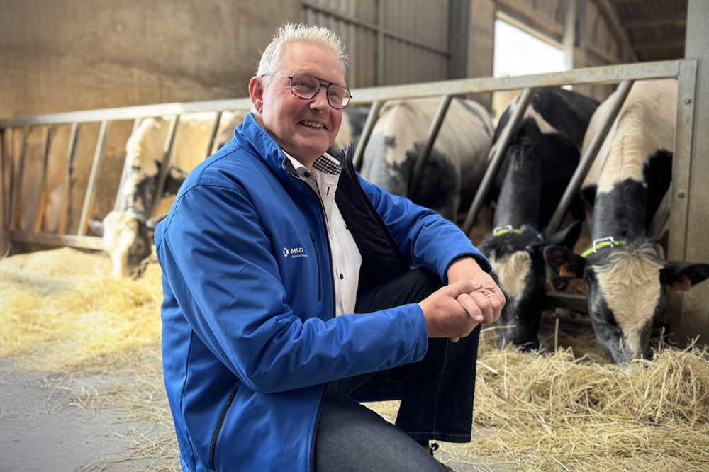 Embryotransplantatie en KI naar een hoger niveau dankzij slimme koemonitoring